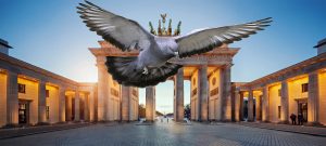 Cursa curselor, Berlin Internațional 2025