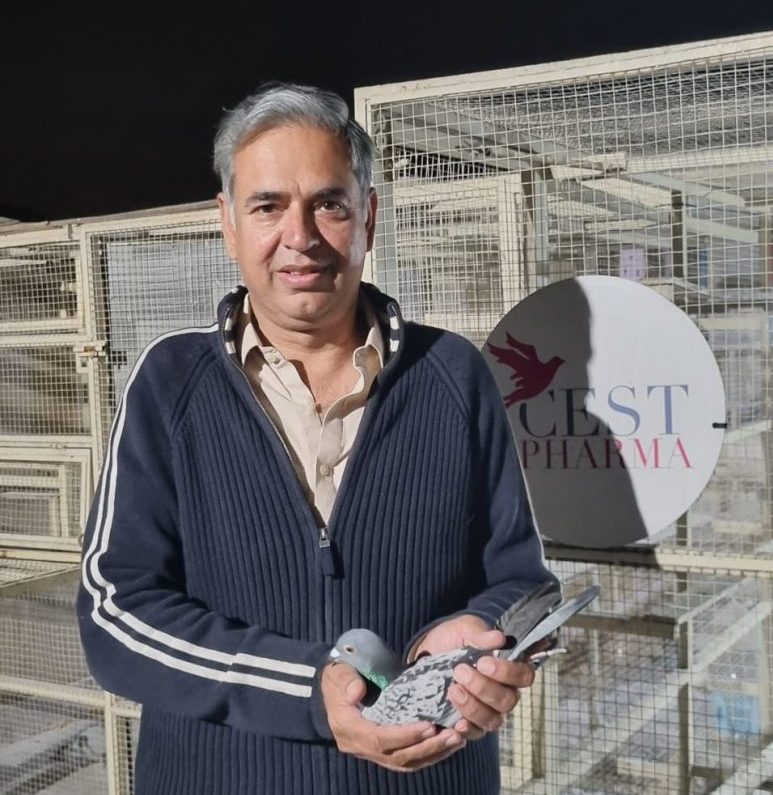 Porumbeii voiajori creați de crescătorii români, câștigători de curse naționale și pe alte meleaguri