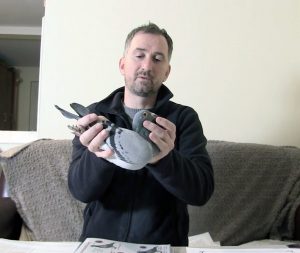 Alexandru Răcean – Un specialist al zborurilor cu puii din județul Cluj