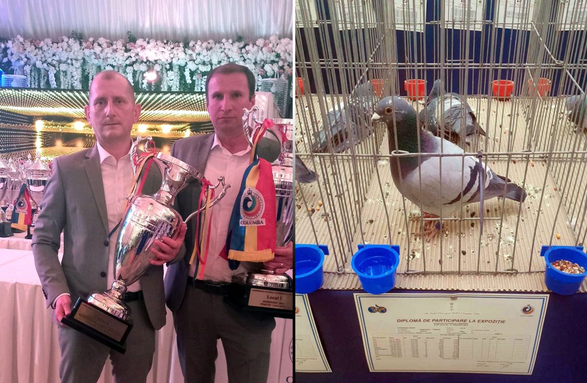 Tandemul Fekete+Lucaciu, din nou în topurile naționale