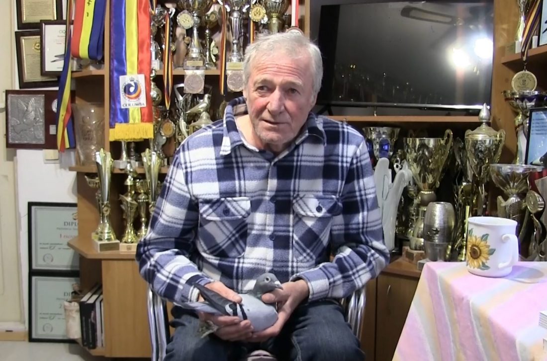 Matei Romulus – Un simbol al columbofiliei de elită românești