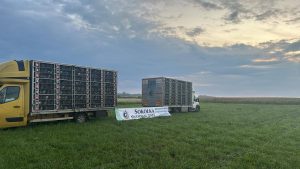 Sokolka Național 2025, etapa columbofililor din Provincia Sud-Est