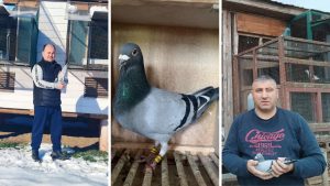 Filiala Satu Mare a livrat performerii categoriei As Demifond Tineret