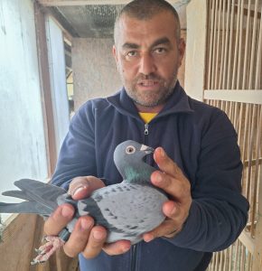 Tandemul Bozgan I. & Hău A. se impune la prima etapă de demifond din Filiala Caraș Severin