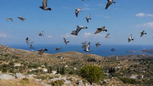 Kythira 2026 – Prima etapă de Maraton Extrem organizată pe ruta Grecia și-a desemnat câștigătorii
