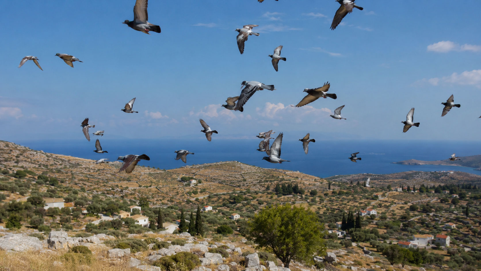 Kythira 2026 – Prima etapă de Maraton Extrem organizată pe ruta Grecia și-a desemnat câștigătorii