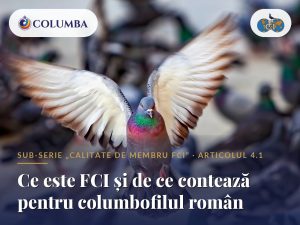 Ce este FCI și de ce contează pentru columbofilul român