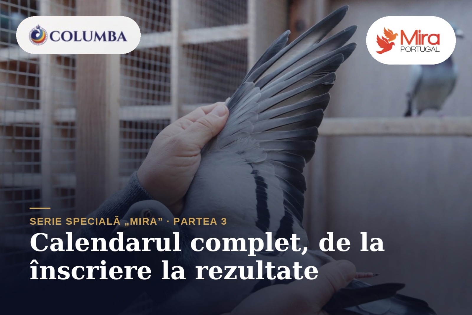 Calendarul complet — de la înscriere până la afișarea rezultatelor!