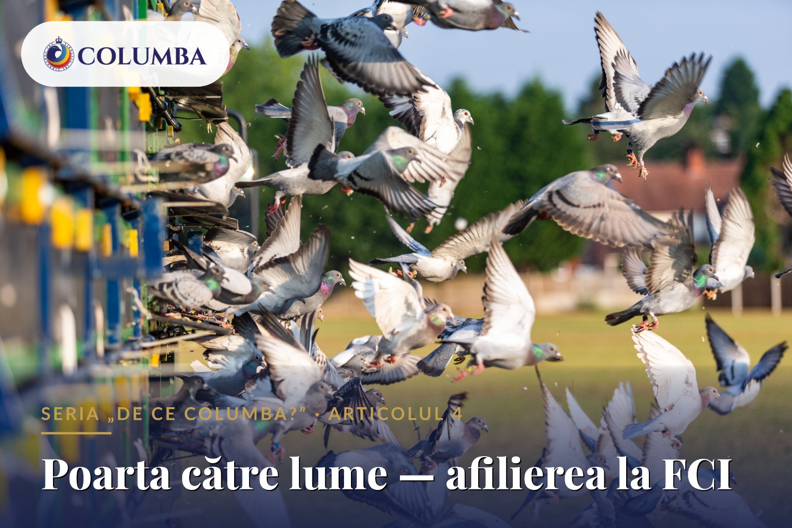 Poarta către lume – afilierea la FCI