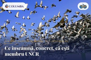 Ce înseamnă, concret, că ești membru UNCR ?