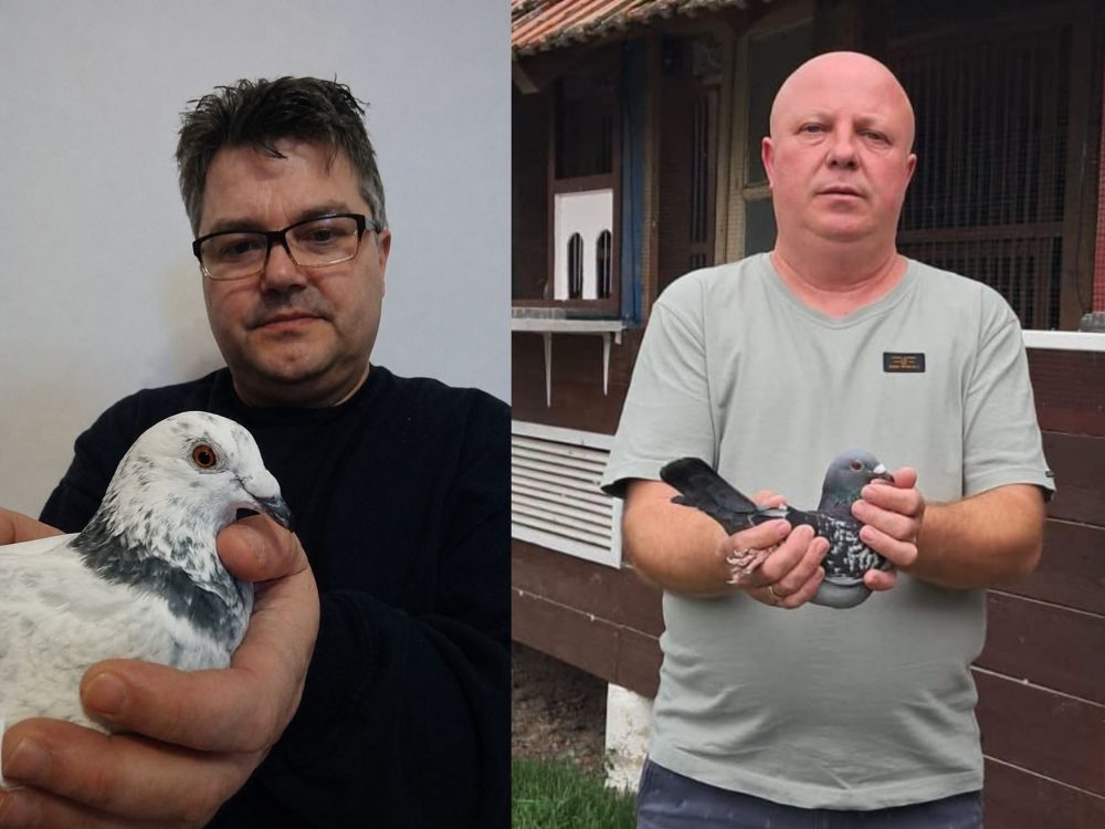 Stendal Național 2026 – Viteze impresionante într-un maraton extrem. Petru Gorcea și Vasile Beldea au dominat cursa