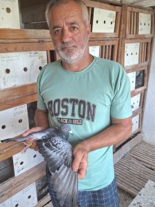 Iulian Stancu, dublu învingător la maratonul Efpalio. Victorie atât în clasamentul porumbeilor, cât și al crescătorilor