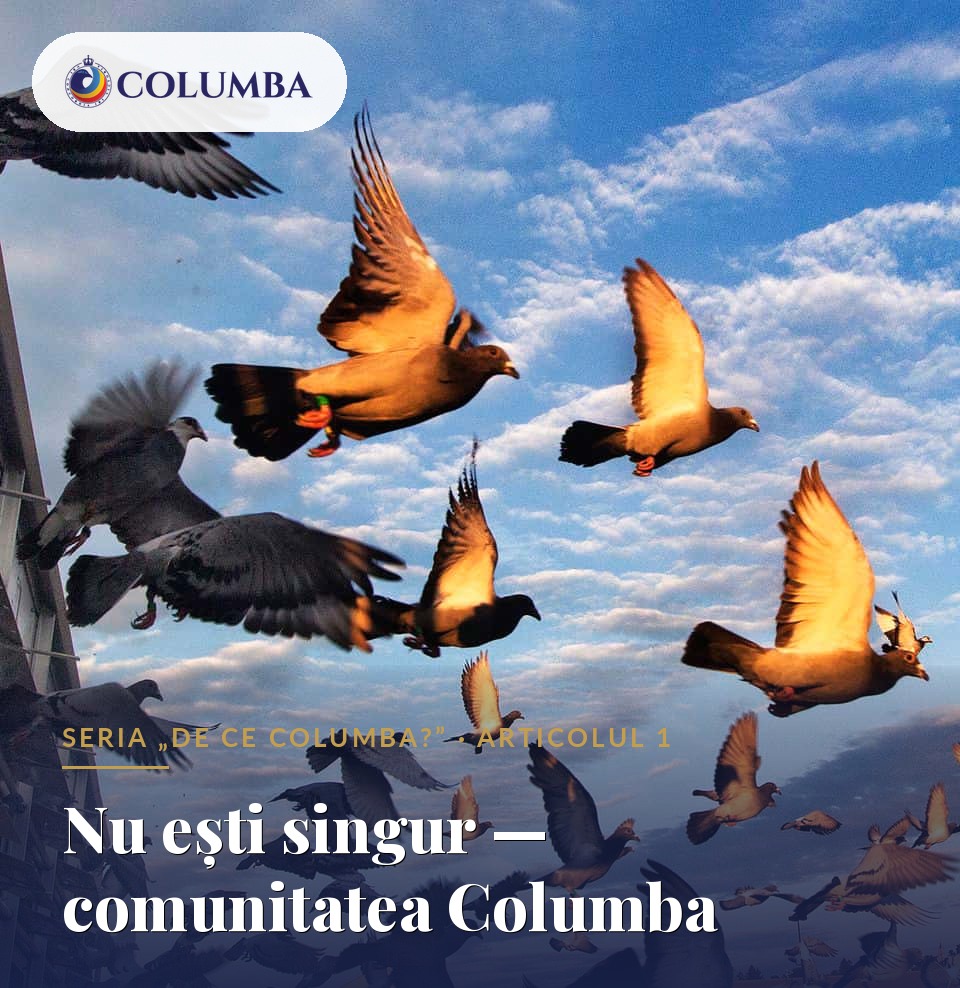 Nu ești singur — comunitatea Columba