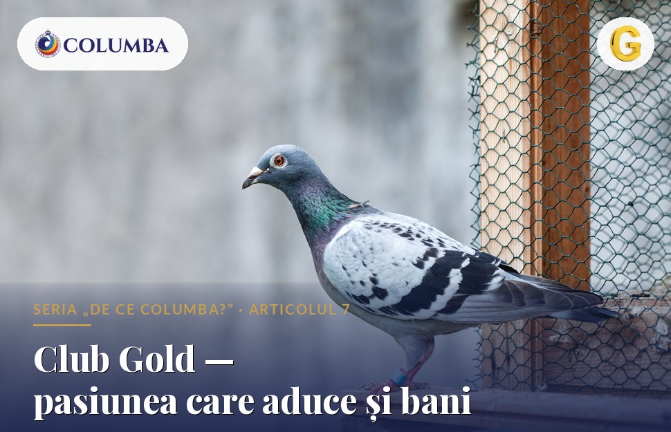 Club Gold — pasiunea care aduce și bani
